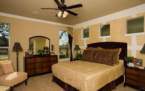 Gallery Picture