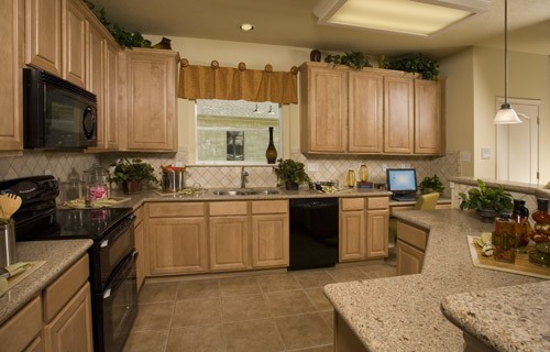 Gallery Picture